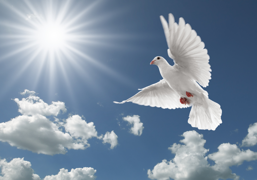 mortality, grief, and empathy